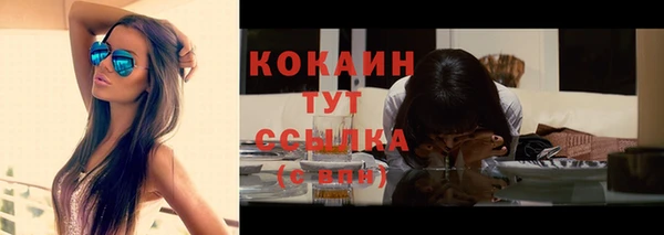 МДПВ Няндома