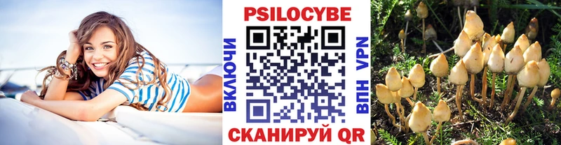 Галлюциногенные грибы Psilocybe  Купить  Петропавловск-Камчатский 
